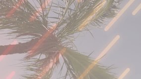 Animation of the words good vibes only in pink with diamond and moving lines over sunlit palm tree. positive feelings, nature and wellbeing concept, digitally generated video. - Powered by Shutterstock - Get 15% off with code: PIKWIZARD15