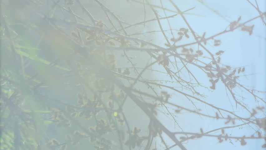 Animation of financial data processing over electricity pylons and landscape. global finance, business and digital interface concept digitally generated video. - Powered by Shutterstock - Get 15% off with code: PIKWIZARD15