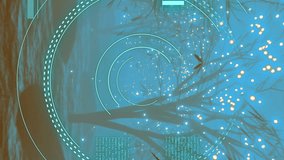 Circular scanner and data processing over lights and tree lined path at night. Data processing, nature, connection, and digital interface digitally generated video. - Powered by Shutterstock - Get 15% off with code: PIKWIZARD15