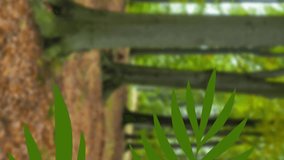 Animation of flag of germany blowing over soldier. Autumn and time passing by concept digitally generated video. - Powered by Shutterstock - Get 15% off with code: PIKWIZARD15