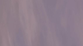 Animation of financial data processing over world map and london cityscape. Global business, finances, computing and data processing concept digitally generated video. - Powered by Shutterstock - Get 15% off with code: PIKWIZARD15