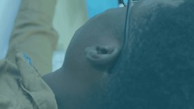 Animation of dna strand over african american businessman in office. Global finance, business, connections, computing and data processing concept digitally generated video. - Powered by Shutterstock - Get 15% off with code: PIKWIZARD15