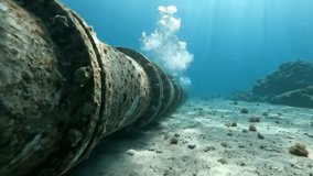 A Internet cable on bottom of sea, view of communication line underwater, fish and seaweed. Concept of submarine, undersea, ocean, power - Powered by Shutterstock - Get 15% off with code: PIKWIZARD15