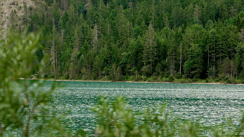 Calm lake in European Alps. Green pine trees in the background. Blurred vegetation leaves in the foreground. No people. Nature. UHD footage. 