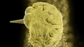 Animation of digital brain spinning over yellow spots. Technology, ai and digital interface concept digitally generated video. - Powered by Shutterstock - Get 15% off with code: PIKWIZARD15