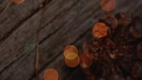 Animation of christmas pine cones decorations with glowing lights. christmas festivity celebration concept digitally generated image. - Powered by Shutterstock - Get 15% off with code: PIKWIZARD15