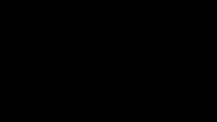 butterfly fly on alpha background