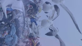 Animation of scope scanning over christmas dinner table with laptop video call on blue background. Global communication data processing and digital interface concept digitally generated video. - Powered by Shutterstock - Get 15% off with code: PIKWIZARD15