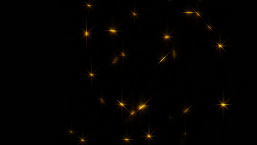Glowing Insects Fly Around At Night
