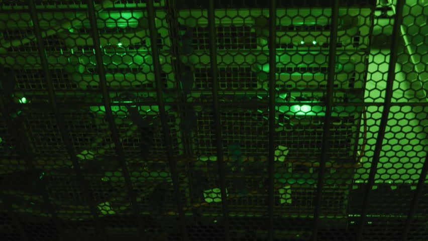 Animation of hud screens with numbers, graphs and shapes over data server racks. Digital composite, networking, data center, security, technology, network server, infographic, coding, data processing. - Powered by Shutterstock - Get 15% off with code: PIKWIZARD15