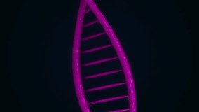 Animation of dna strands and data processing. Global science, connections, computing and data processing concept digitally generated video. - Powered by Shutterstock - Get 15% off with code: PIKWIZARD15