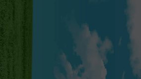 3D pie chart animation over tablet on grassy field background. Technology, business, statistics, digital, innovation, outdoors - Powered by Shutterstock - Get 15% off with code: PIKWIZARD15