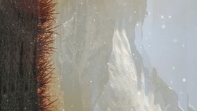 Animation of american dollar banknotes falling over credit card. Business and cloud storage technology concept. - Powered by Shutterstock - Get 15% off with code: PIKWIZARD15