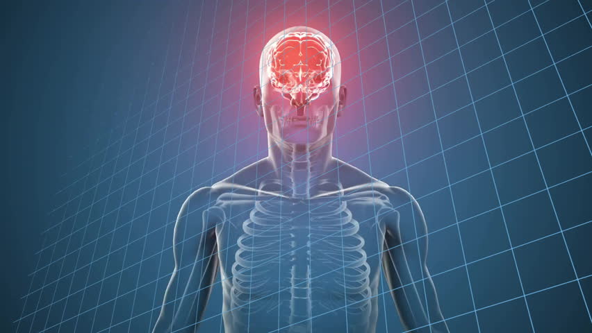 Transparent torso appearing triggers camera circling glowing brain with math visualizing thinking. Anatomy, neuroscience, innovation, technology, science, visualization, digital