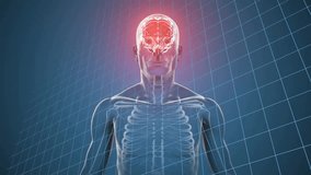 Transparent torso appearing triggers camera circling glowing brain with math visualizing thinking. Anatomy, neuroscience, innovation, technology, science, visualization, digital - Powered by Shutterstock - Get 15% off with code: PIKWIZARD15