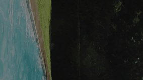 Animation of charts processing data over diverse friends jumping into sunny swimming pool. Data, digital interface, connection, friendship, summer, vacations and relaxation, digitally generated video. - Powered by Shutterstock - Get 15% off with code: PIKWIZARD15