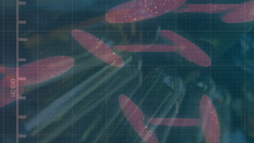 Animation of data processing and dna strand over dna strand. Global business and digital interface concept digitally generated video. - Powered by Shutterstock - Get 15% off with code: PIKWIZARD15