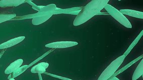 Animation of dna strand on green background. Technology, science and digital interface concept digitally generated video. - Powered by Shutterstock - Get 15% off with code: PIKWIZARD15