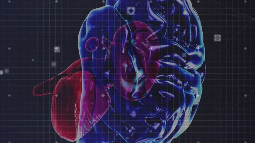 Animation of human brain and circuit board over globe. Global science, artificial intelligence, onnections, computing and data processing concept digitally generated video. - Powered by Shutterstock - Get 15% off with code: PIKWIZARD15