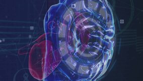 Animation of human brain spinning over microprocessor connections and network of digital icons. Computer interface and medical research technology concept - Powered by Shutterstock - Get 15% off with code: PIKWIZARD15