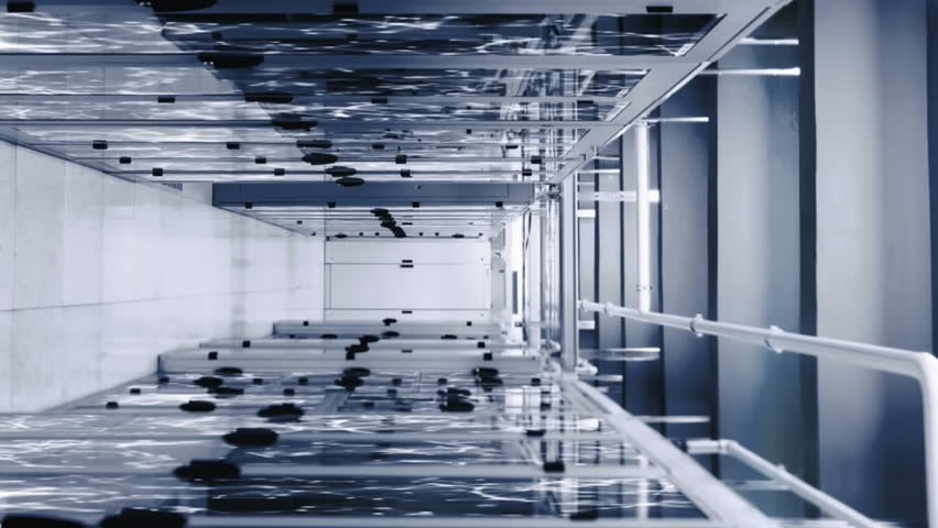 Animation of programming language, graphs and connected dots on data server racks. Digital composite, networking, data center, security, technology, network server, coding, business, report. - Powered by Shutterstock - Get 15% off with code: PIKWIZARD15