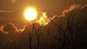 time lapse Sun hiding between trees.
Dry tree without leaves. Thin bare branches against the background of a sunset - Powered by Shutterstock - Get 15% off with code: PIKWIZARD15