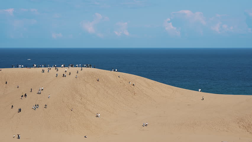 Vibrant scene of visitors exploring the expansive Tottori coastal dunes on a sunny day.