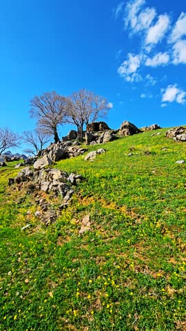 Vibrant hillside with wildflowers, rocky terrain, and clear blue sky.
📍Hawraman Takht, Kurdistan 