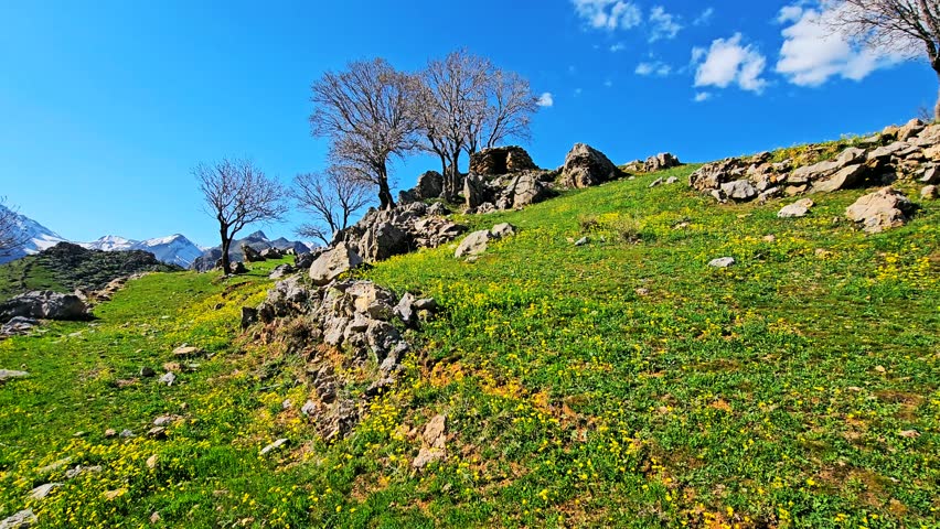 Vibrant hillside with wildflowers, rocky terrain, and clear blue sky.
📍Hawraman Takht, Kurdistan 