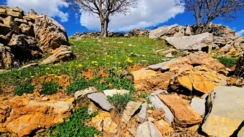 Scenic hill with rocky terrain, green grass, and trees under a bright blue sky with fluffy clouds.
📍Hawraman Takht, Kurdistan 