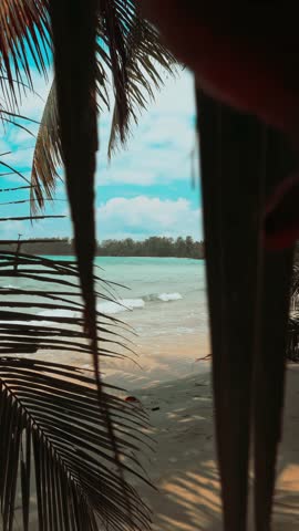 Beautiful tropical beach with crystal clear ocean water and coconut palm tree on nature background 4K