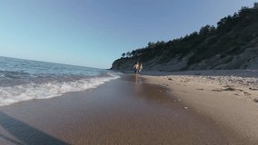 Slow motion video of two happy shirtless boys running barefoot along a sandy beach near the sea, enjoying a summer day under a clear blue sky - Powered by Shutterstock - Get 15% off with code: PIKWIZARD15