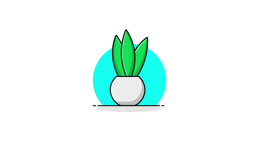 Vase Animation Video - Transparent