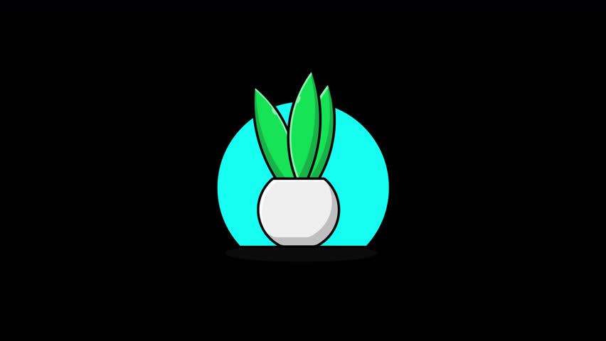 4k Vase Animation Video - Transparent