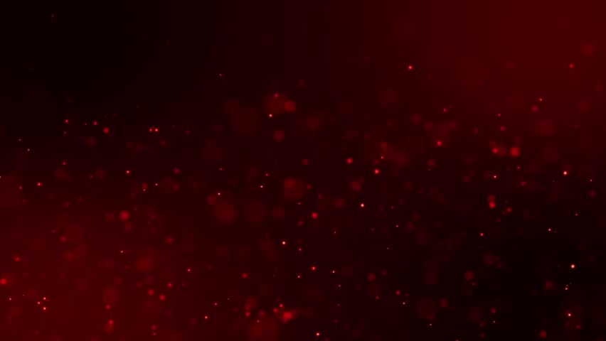 Shutterstock Video
