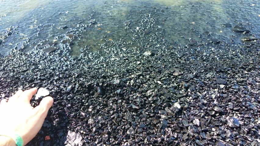Lake Sakakawea shoreline featuring unique pebble beach interspersed with natural coal deposits