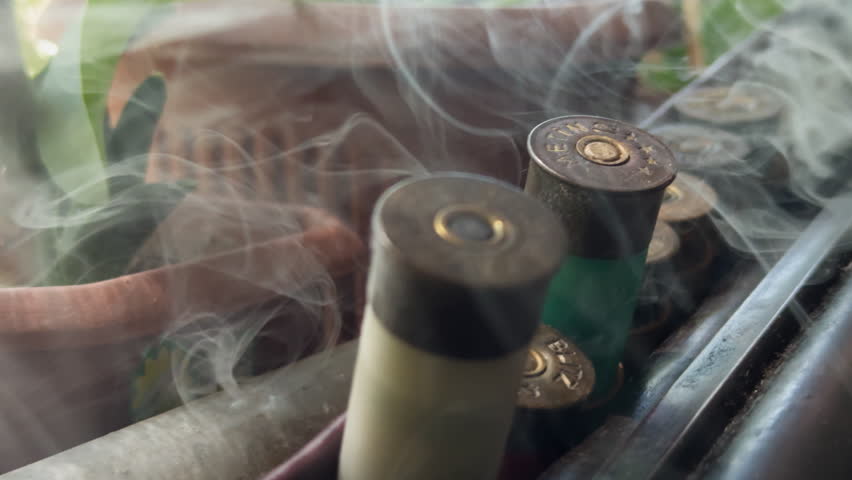 Antique Rifle Gun and old Bullets