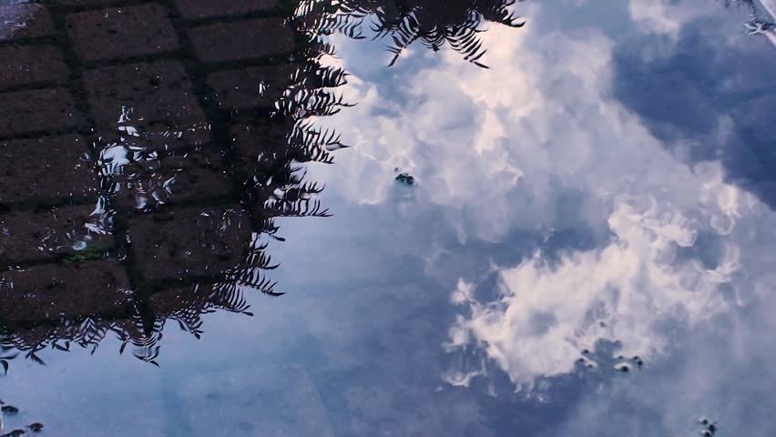 Branches of tree, blue sky and clouds reflected in a water of a puddle