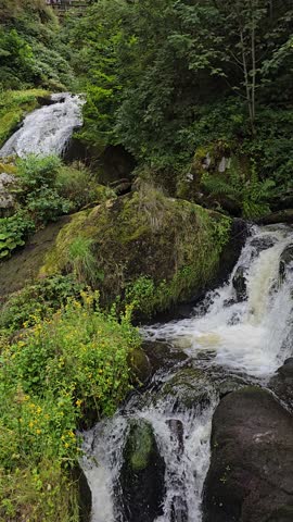 waterfall Germany green grass trees 