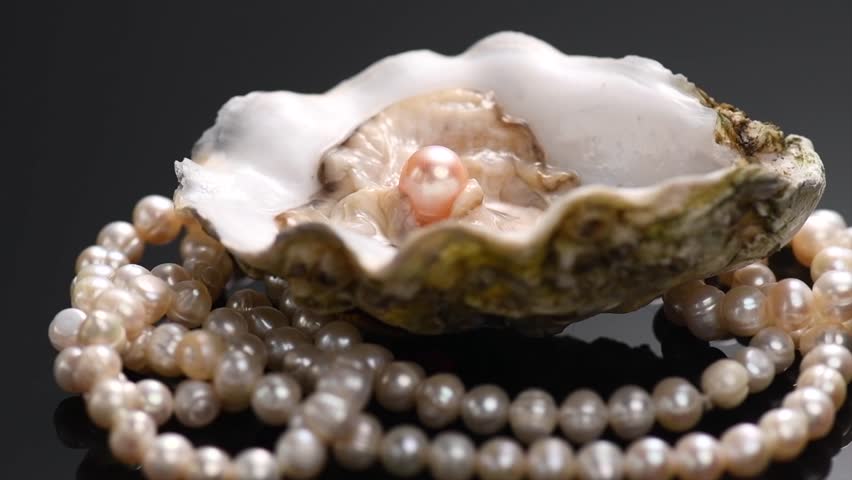 Pearls, Natural pearl inside the oyster shell, close up, necklace rotating over black background. Pink Nacre. Mother-of-pearl. Slow motion 