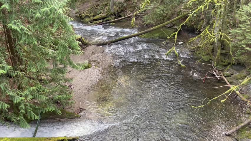 Spring water rushing flow in Whatcom Creek