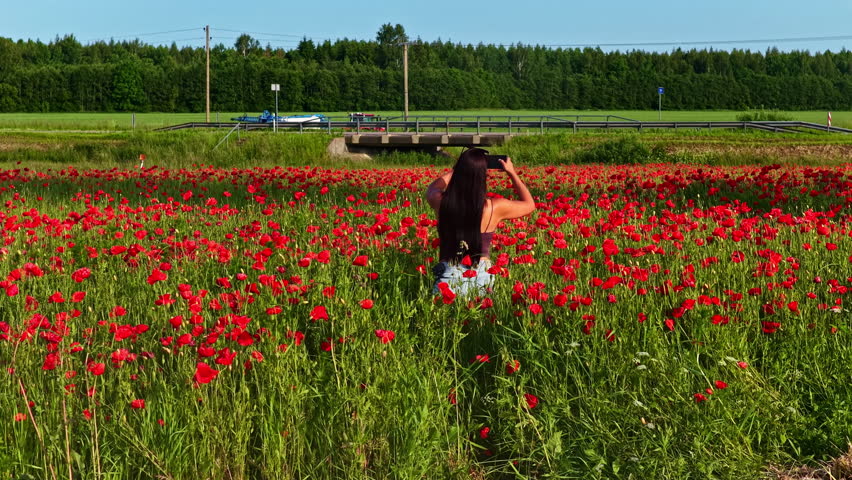 A woman with long dark hair captures photos in a bright red poppy field surrounded by green grass and distant trees in Latvia - parallax shot