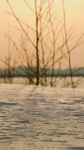 A snow cover illuminated by the golden light of the sun. Winter. White snow. Low temperature. Vertical video.	