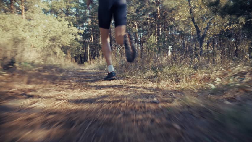 Running Fast Through Forest Trail. Endurance Training Summer Jog. Trail Running And Outdoor Exercise. Fitness In Nature Athletic Pursuit. Physical Activity Exercise Routine. Healthy Lifestyle Runner