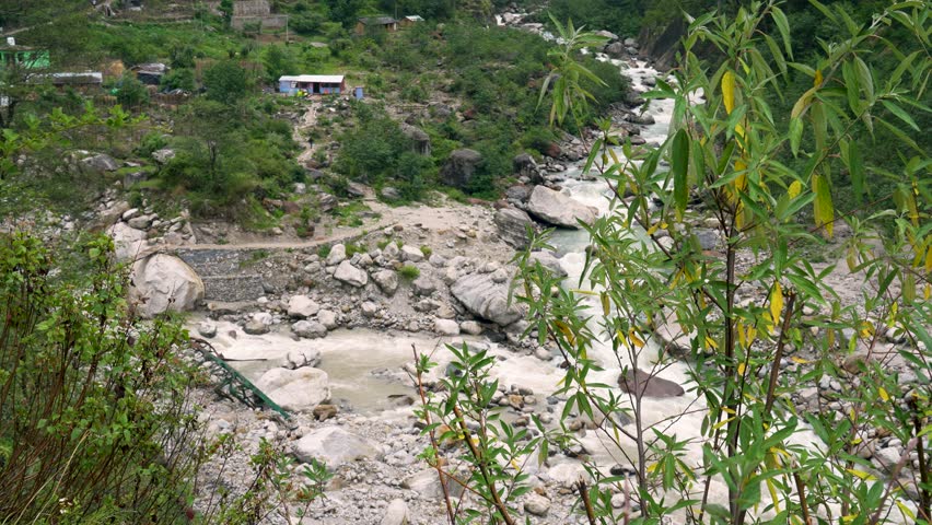 A serene river landscape with wildflowers and a tree in the foreground, along the Madmaheshwar Temple trail, near Ransi Village, Uttarakhand, India.