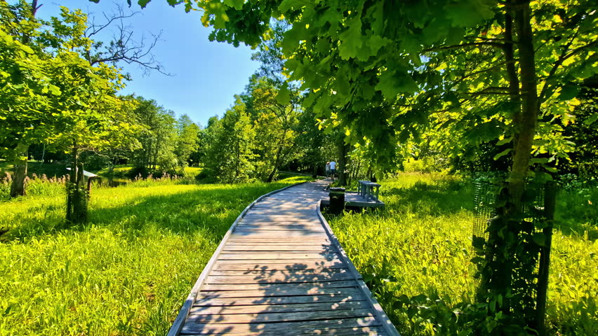 An immersive first-person point-of-view shot of a relaxing walk along a wooden boardwalk path that winds through a lush, green city park next to a river on a beautiful sunny summer day in Riga.