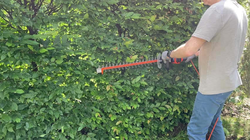 Man trimming bushes with electric hedge trimmer, hedge saw. Gardening and tidying up. Nature and garden maintenance.