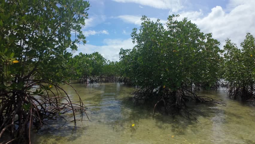 Ground-hugging drone flies between dense mangrove stands at Barimbing Beach, Puerto Princesa, Palawan, skimming clear tidal water toward the open Sulu Sea under a bright tropical sky.
