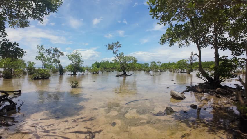 Low drone flight weaves between emerald mangroves in shallow tidal flats near San Jose, Puerto Princesa, Palawan, then opens onto a calm aquamarine Sulu Sea beneath a bright tropical sky.