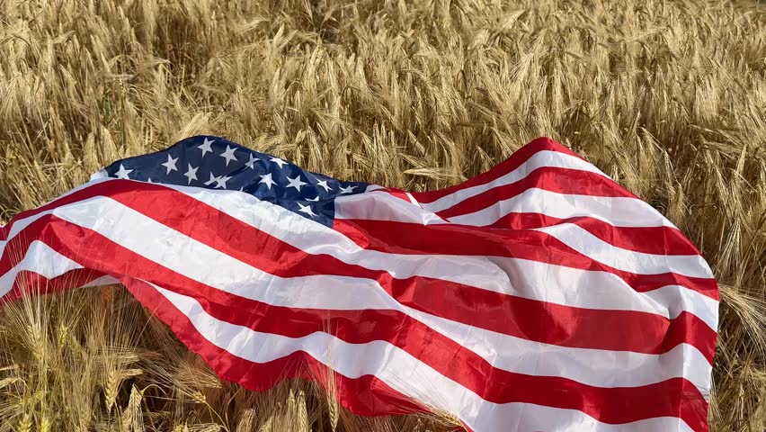 An American flag lies across a golden wheat field, symbolizing patriotism, agriculture, and harvest season evokes rural Americana